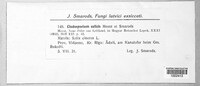 Fusicladium salicis image